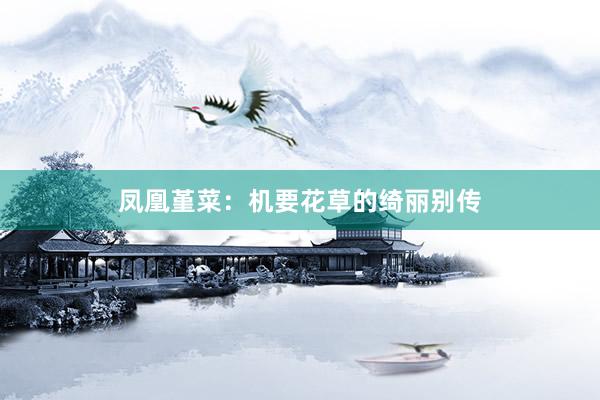 凤凰堇菜：机要花草的绮丽别传